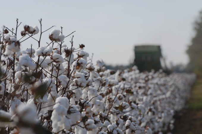 Produção brasileira de algodão responsável impressiona players da indústria têxtil e de fiação, no congresso da ITMF, em Davos.