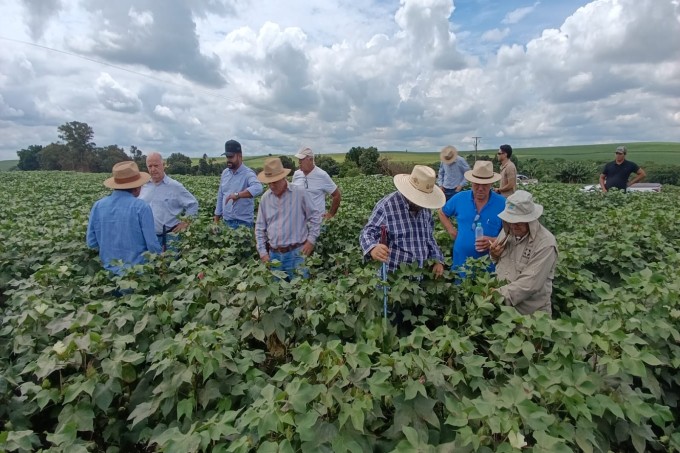 Visita Técnica - Sindicato Rural Cambará PR